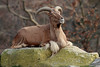 Providence Zoo : 
