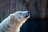 Pittsburgh Zoo : 